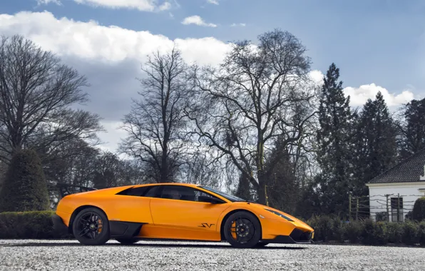 Picture Lamborghini, Murciélago, LP-670