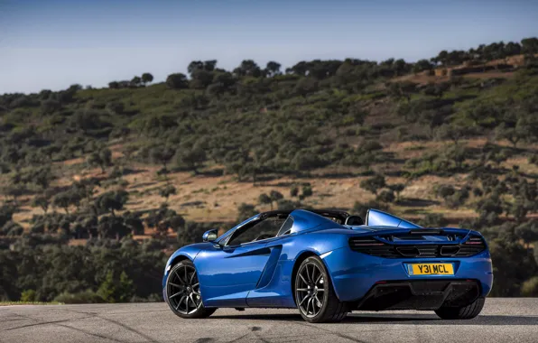 Trees, blue, spider, rear view, spider, McLaren, Mclaren MP4-12C