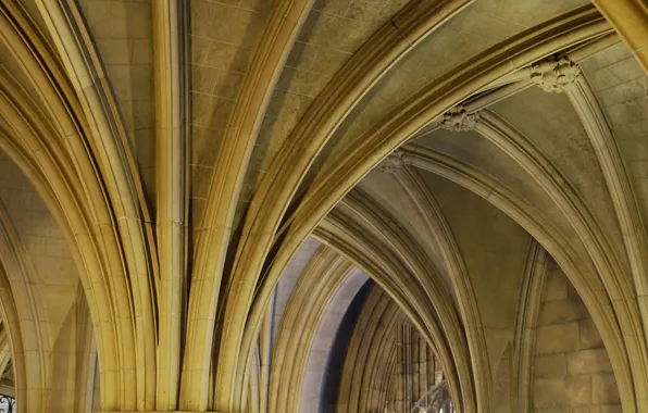 Canada, Toronto, arch, University, Knox College