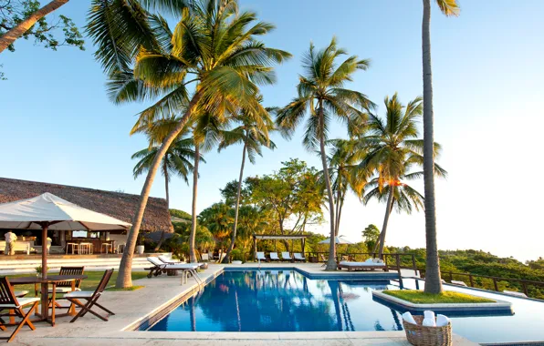 Wallpaper palm trees, Santa Cruz de Barahona, the ocean, Dominican Republic, resort, pool