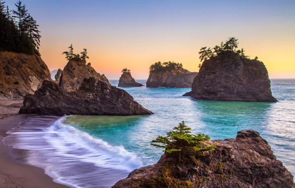Sand, sea, beach, the sky, trees, stones, rocks, dawn