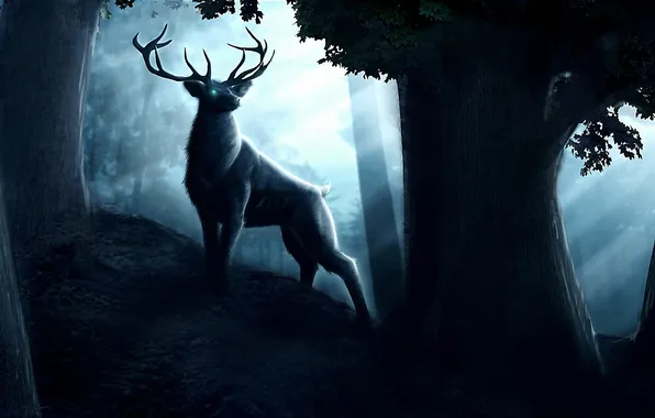 Picture forest, eyes, trees, night, fiction, dark, deer, hill