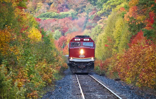 Road, autumn, leaves, trees, rails, train, slope