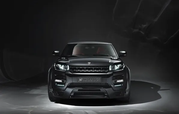 Picture Black, Tuning, Range Rover, Hamann, Evoque, The front