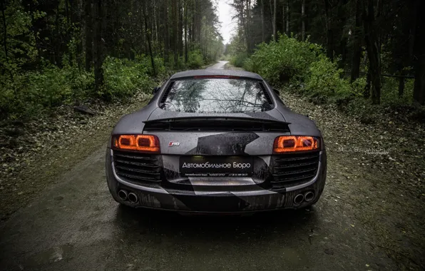 Car, machine, auto, forest, fog, rain, Audi, audi