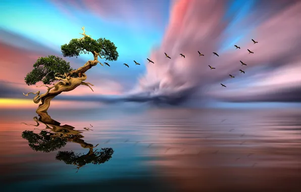 Picture clouds, space, space, lonely tree, clouds, a flock of birds, water surface, computer art