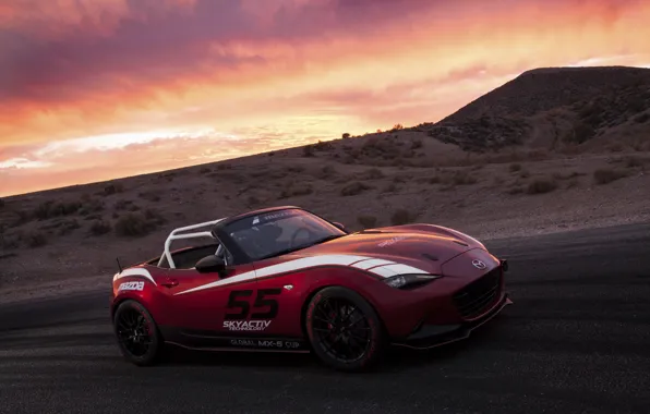 Mazda, Cup, MX-5