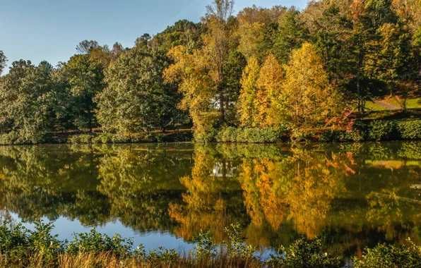 Autumn, the sun, trees, lake, reflection, yellow, USA, Virginia