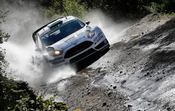 Picture Ford, Water, Ford, Squirt, WRC, Fiesta, Elfyn Evans