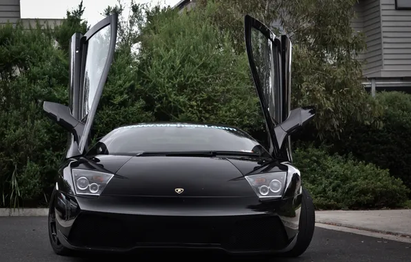 Picture asphalt, trees, reflection, black, the building, lamborghini, black, trees