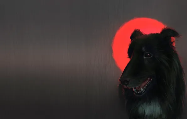 Picture the moon, dog, art, dog, blood moon, katherine dinger