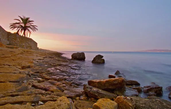 Picture sea, the sky, sunset, palm trees, wall, shore