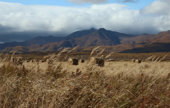 Field, autumn, forest, the sky, clouds, mountains, the wind, hills
