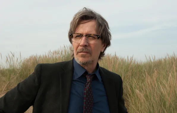 Picture the sky, grass, glasses, costume, tie, jacket, Gary Oldman, Gary Oldman