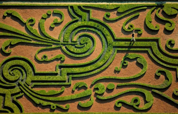 Picture garden, top, maze