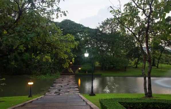Greens, grass, trees, branches, lights, pond, Park, lawn