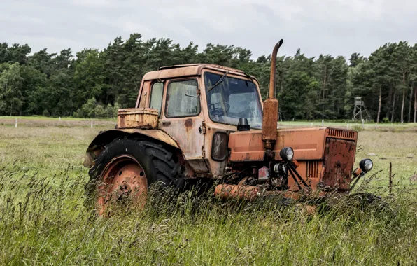 Field, grass, headlight, wheel, tractor, agricultural machinery