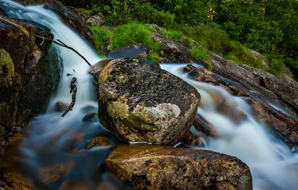 Picture grass, water, trees, mountains, river, stream, stones, rocks