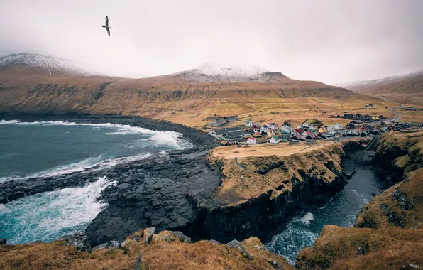 Sea, wave, autumn, flight, mountains, fog, stones, open