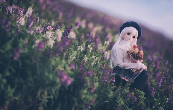 Flowers, doll, meadow, takes