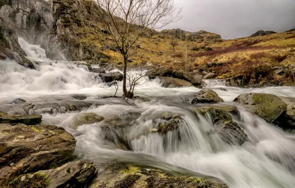 Clouds, river, stones, tree, mountain, stream, Wales, Snowdonia