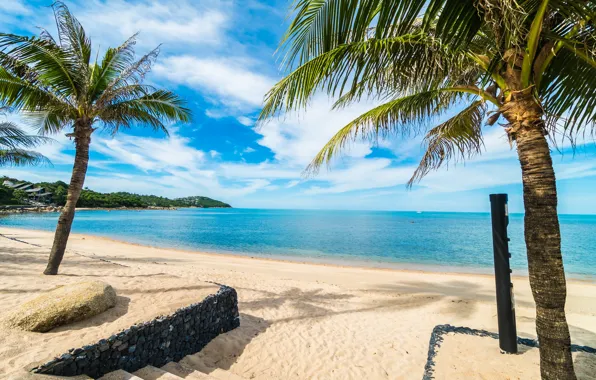 Sand, sea, beach, summer, the sky, the sun, palm trees, shore