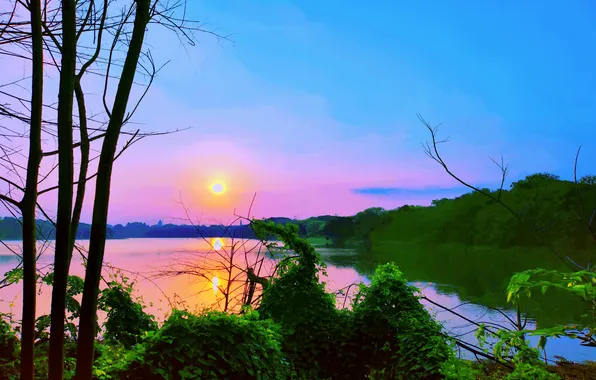 Sun, Water, Sunrise, Dawn, Morning, Lake, Trees, Reflection
