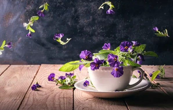 Leaves, light, flowers, the dark background, table, Board, purple, mug