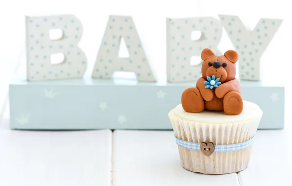 Picture the inscription, bear, cupcake