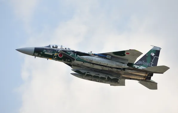 Picture fighter, Mitsubishi, flight, F-15DJ