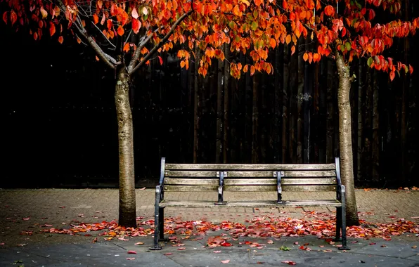 Picture autumn, street, bench