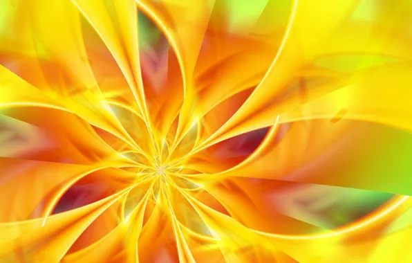 Picture flower, light, line, spiral