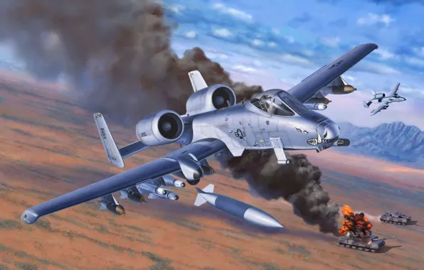 Picture airplane, aviation, Fairchild Republic A-10 Thunderbolt II