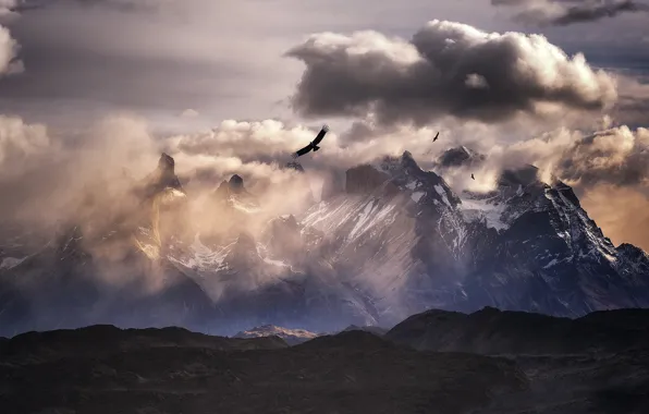 Clouds, mountains, birds, Andes, South America, Condor
