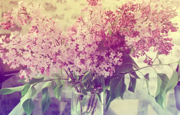 Summer, flowers, lilac