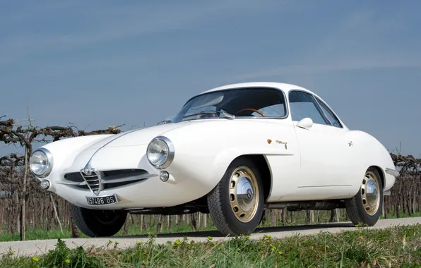 White, the sky, 1960, Alfa Romeo, classic, the front, Speciale, Juliet