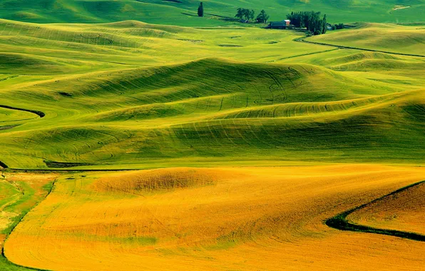 Field, autumn, grass, hills, Italy
