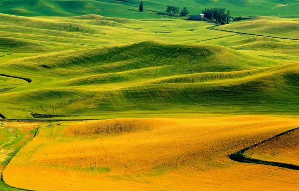 Autumn, grass, hills, field, Italy