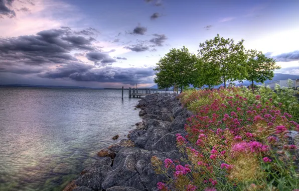 Picture landscape, flowers, lake, stones