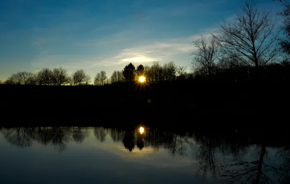 Picture trees, sunset, lake, the evening, silhouettes