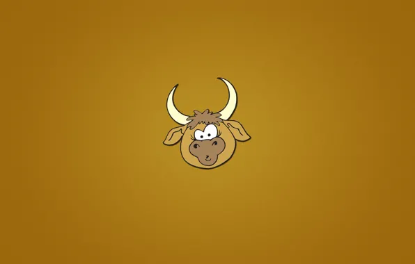Picture face, animal, minimalism, head, horns, orange background, bull, bull