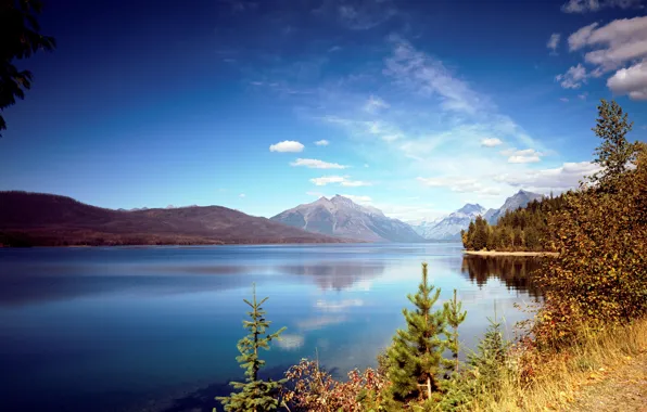 Picture autumn, forest, the sun, trees, mountains, river, shore, Wyoming