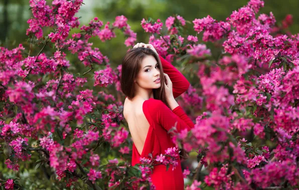 Picture girl, flowers, makeup, garden, dress, hairstyle, brown hair, beautiful