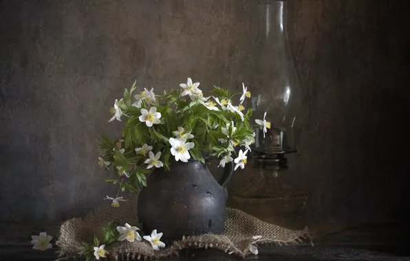 Flowers, the dark background, table, bouquet, pitcher, white, still life, burlap