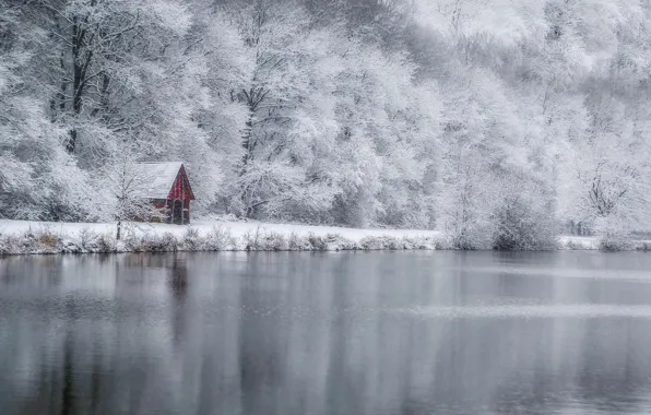 Winter, forest, lake, house