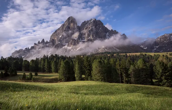 Field, the sky, mountains
