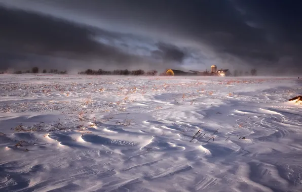 Picture winter, field, snow, nature, fog