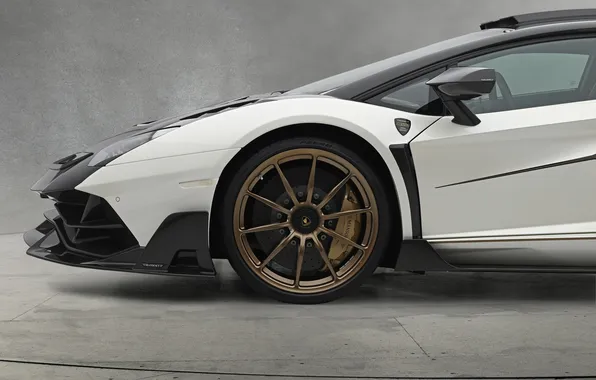 Picture power, supercar, sports car, supercar, Lamborghini Aventador, Mansory, sports car, the only instance