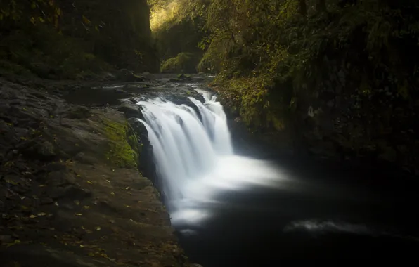 Water, trees, stones, moss, Oregon, USA, the Columbia river gorge, Eagle Creek