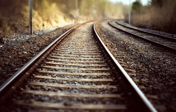 Nature, background, railroad